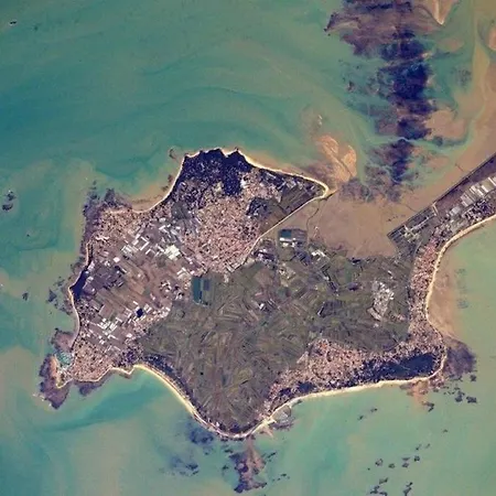 Caprice Des Vents * 诺亚芒提亚